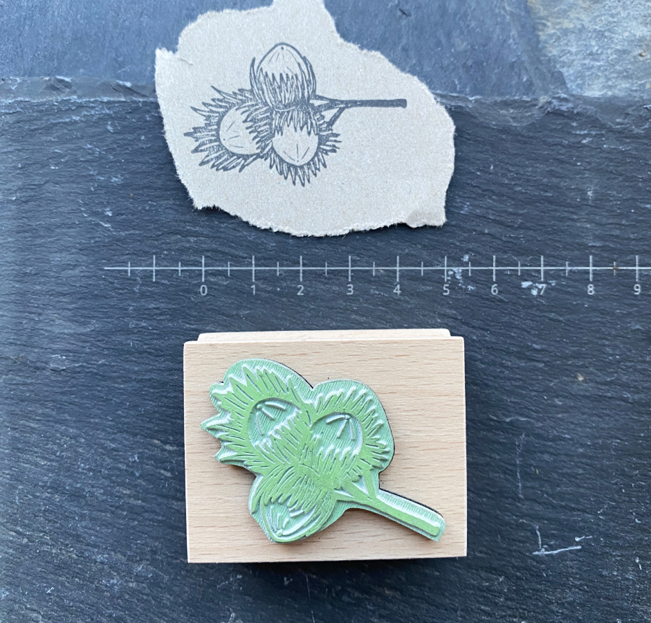 Stempelgummi-Haselnusszweig