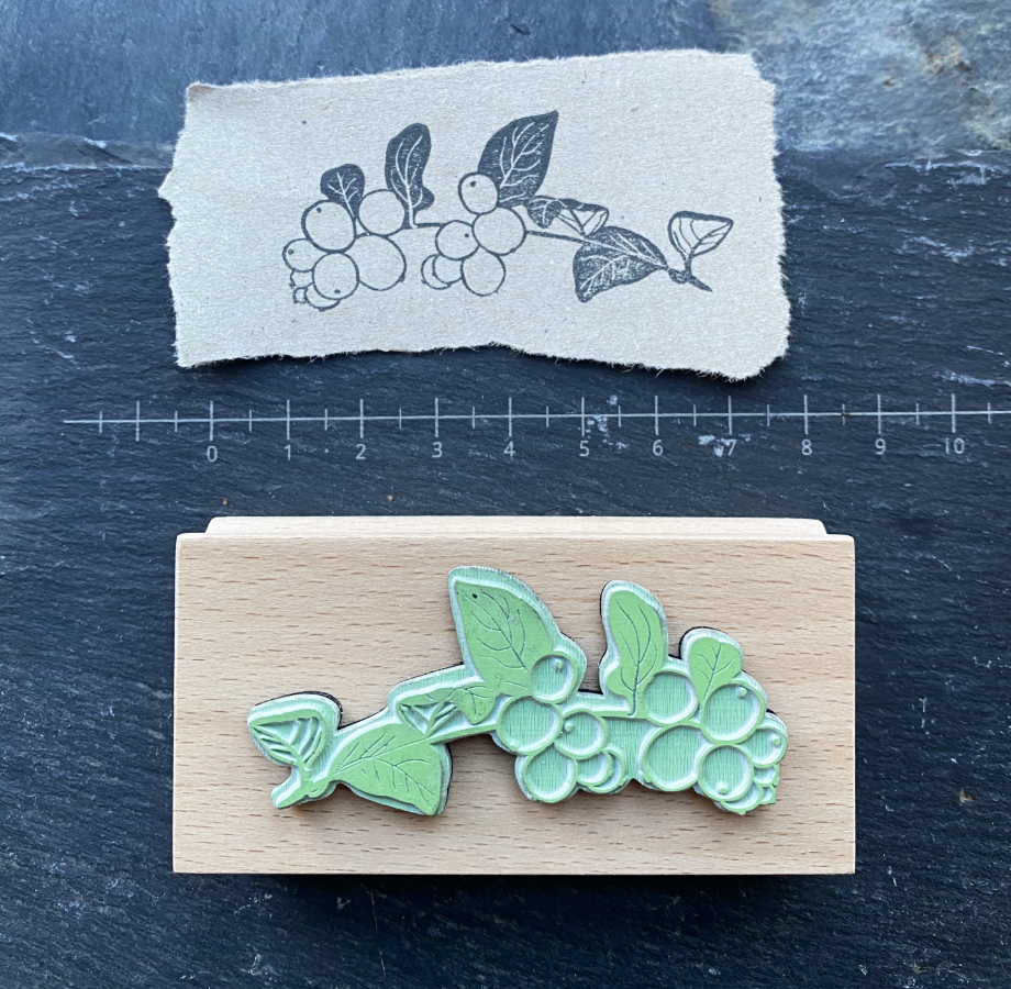 Stempelgummi-Schneebeere