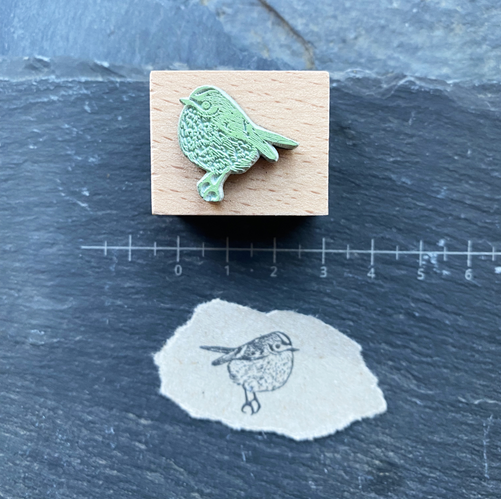 Stempelgummi-Wintergoldhaehnchen